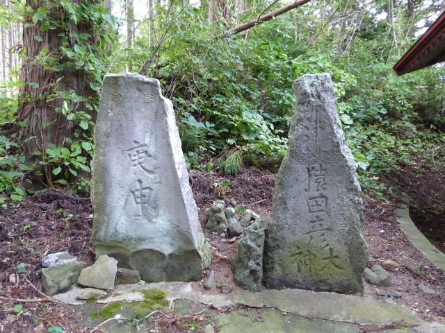 イメージ 5
