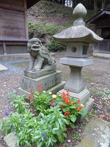 20