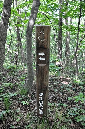 イメージ 32