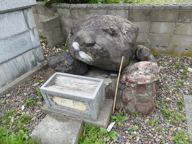 イメージ 18