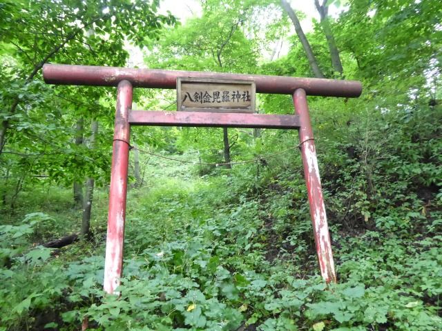 イメージ 12