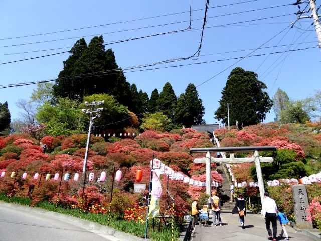 イメージ 3