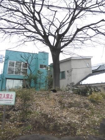 イメージ 8