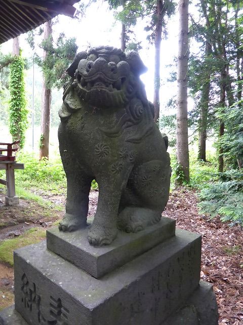 イメージ 38