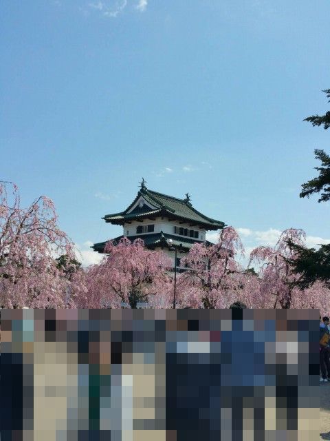 イメージ 39