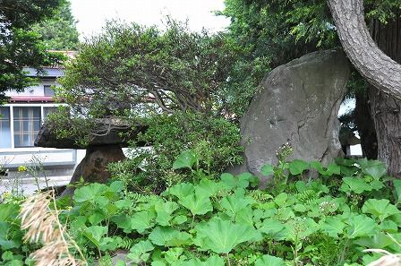 イメージ 9
