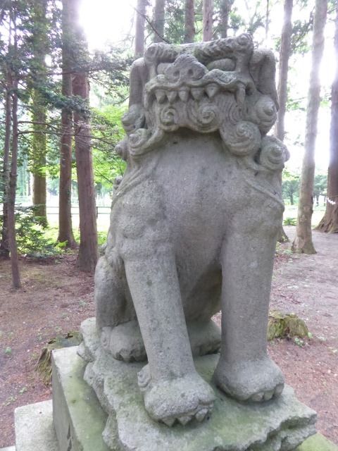 イメージ 19