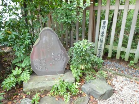 イメージ 32