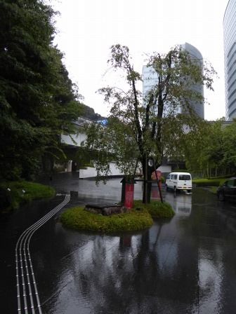 イメージ 22