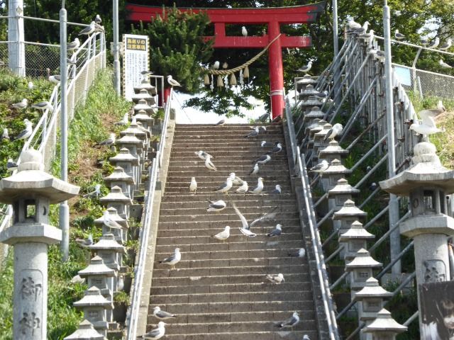 イメージ 16