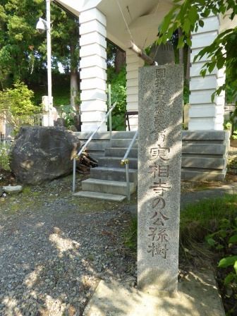 イメージ 18
