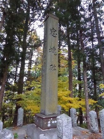 イメージ 11