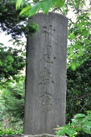 イメージ 5