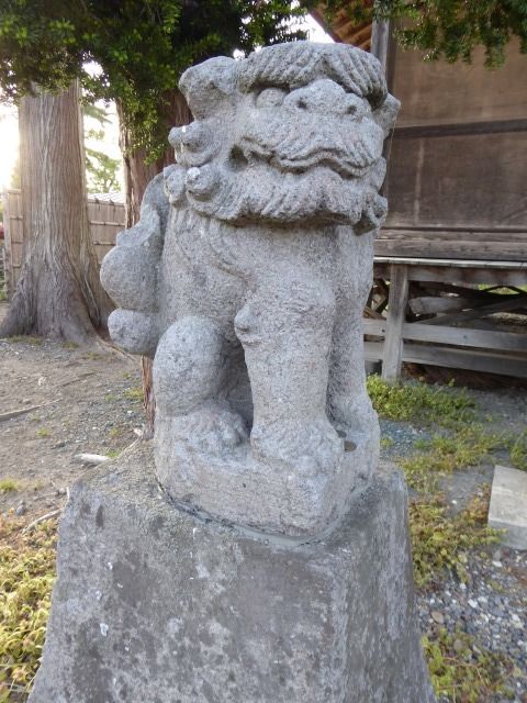 イメージ 8