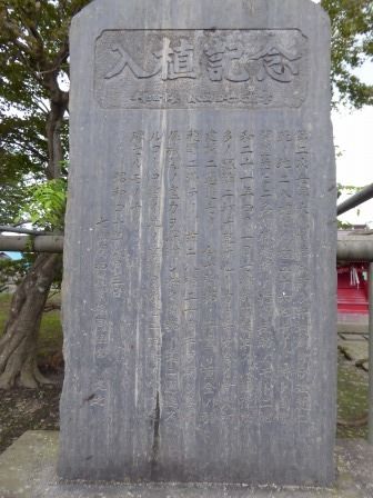イメージ 6