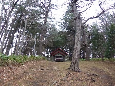 イメージ 8