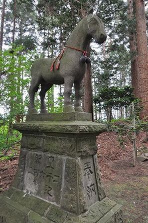 イメージ 7