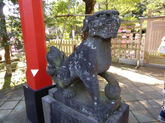 イメージ 24