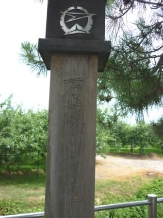 イメージ 4