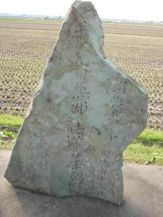 イメージ 27