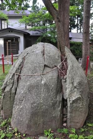 イメージ 6