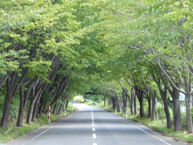 那智山神社 弘前市百沢 くぐる鳥居は鬼ばかり 那智山神社 弘前市百沢 くぐる鳥居は鬼ばかり