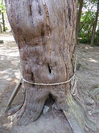 イメージ 15