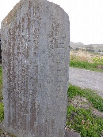 イメージ 15