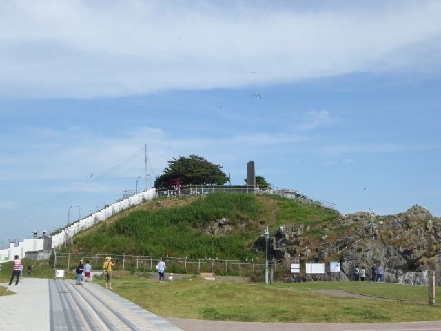 イメージ 4