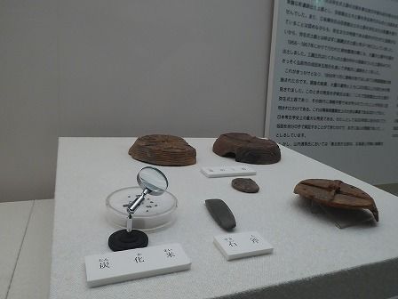 イメージ 28