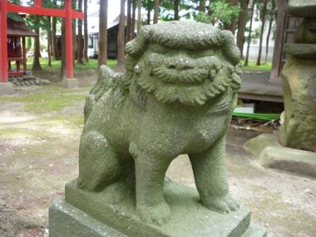 イメージ 11