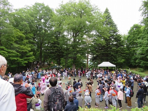 26.1