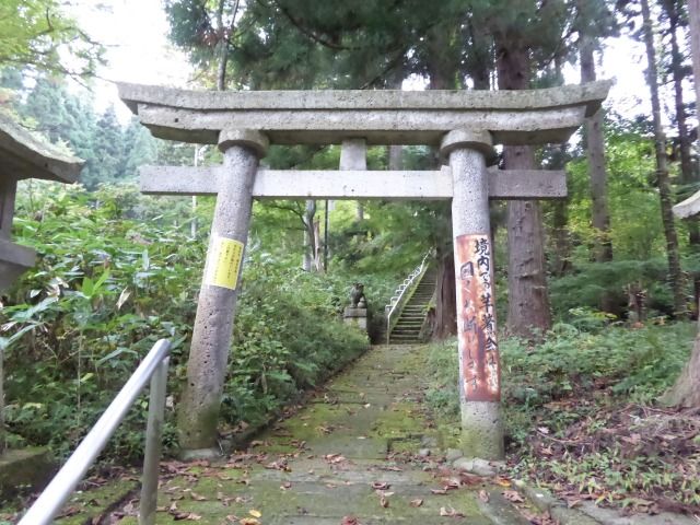 イメージ 19