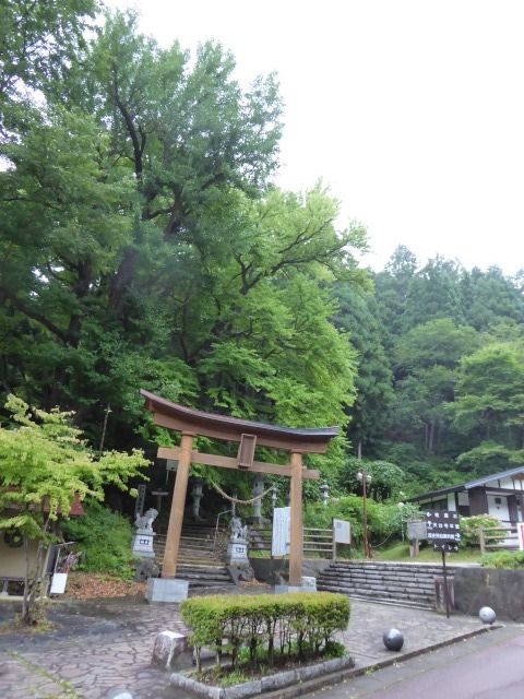 イメージ 24