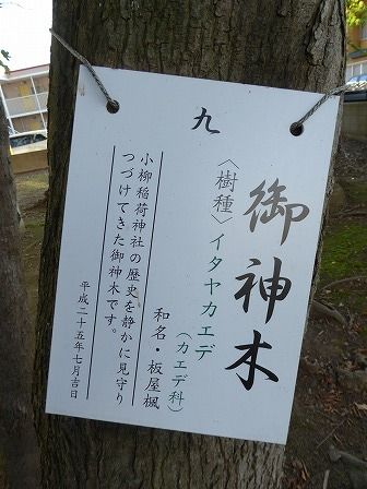 イメージ 14