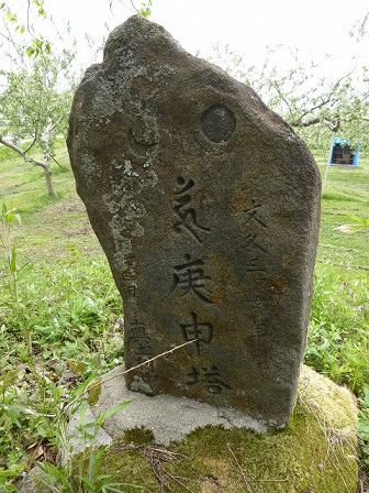 イメージ 17