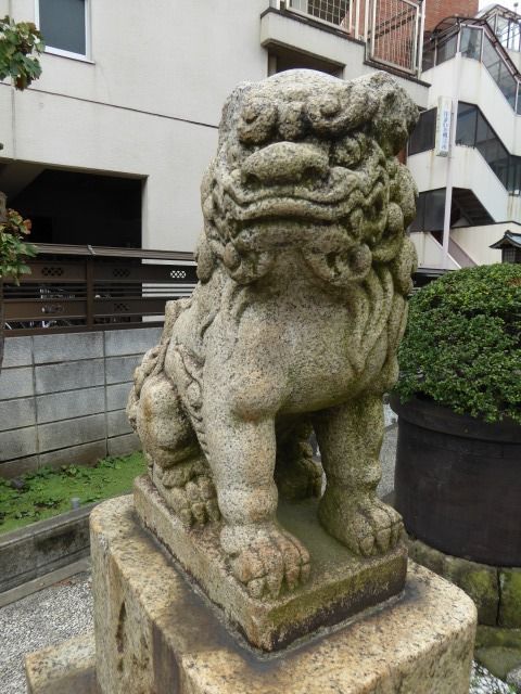 イメージ 14