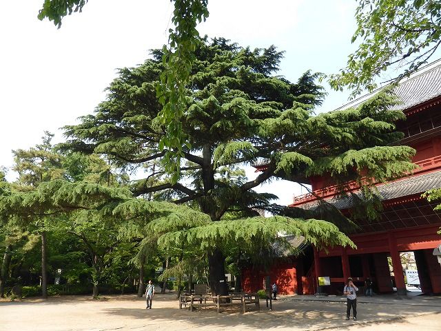 イメージ 8
