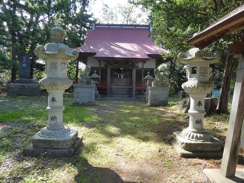 6