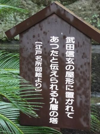 イメージ 14