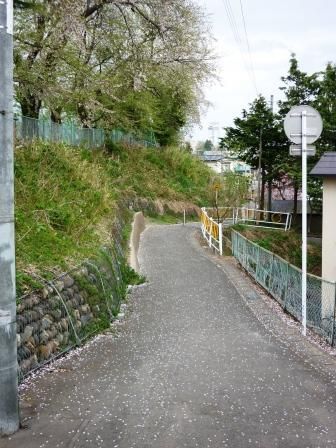 イメージ 6