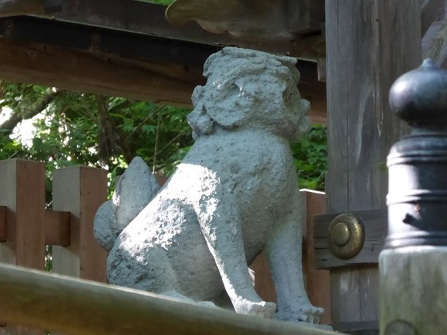 イメージ 8