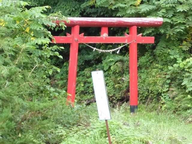 イメージ 6