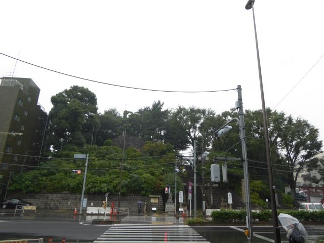 イメージ 5