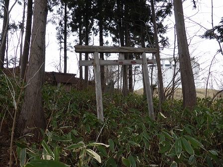 イメージ 5