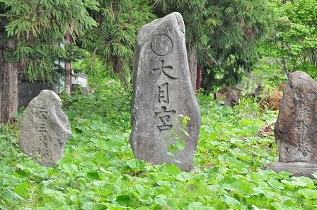 イメージ 22