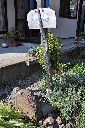 イメージ 45