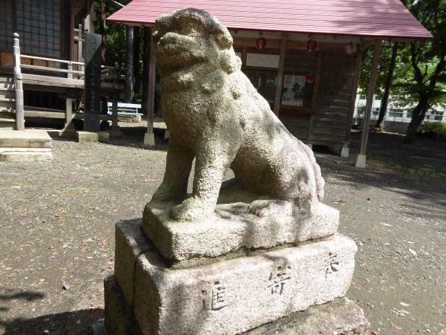 イメージ 24