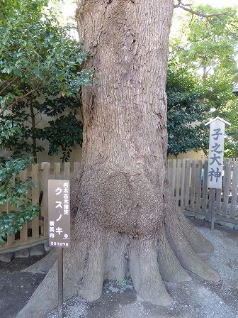 イメージ 28