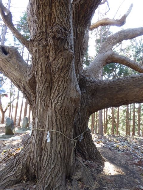 イメージ 5